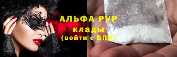 СК Новодвинск