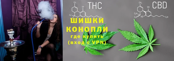гидра Новозыбков
