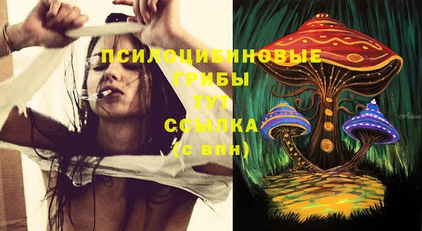 СК Новодвинск