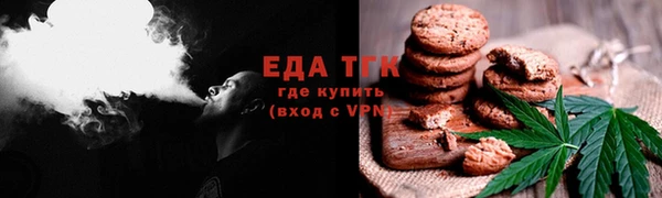 СК Новодвинск