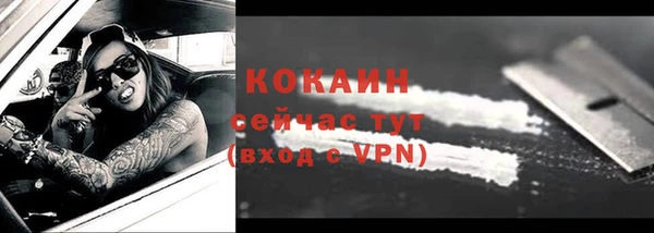 стафф Няндома