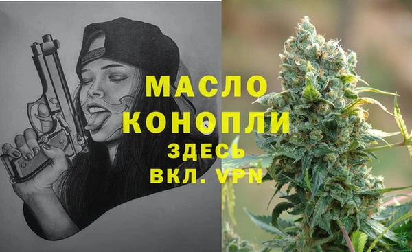 СК Новодвинск