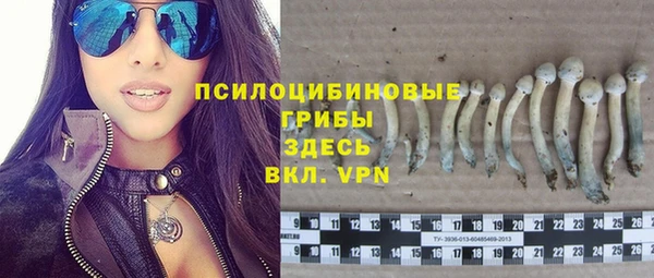 ALPHA PVP Нягань