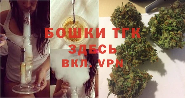 СК Новодвинск
