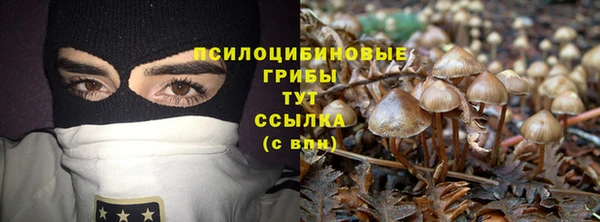гидра Новозыбков