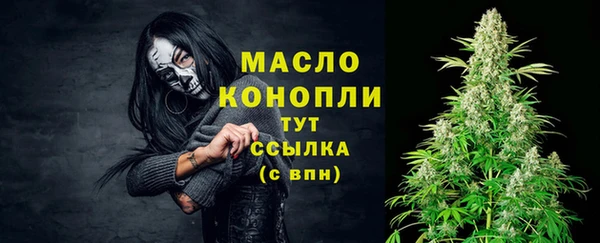 СК Новодвинск
