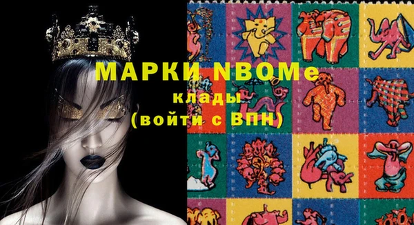 СК Новодвинск