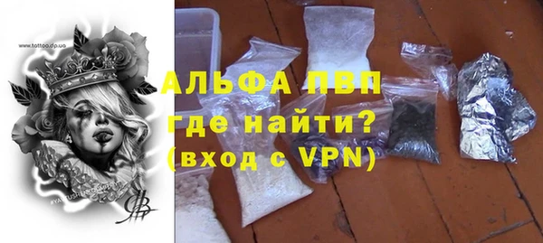 СК Новодвинск