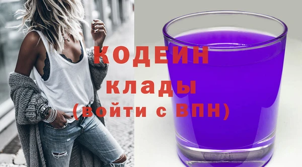 гидра Новозыбков