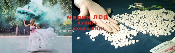 СК Новодвинск