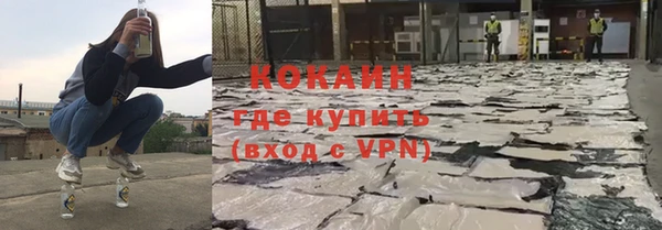 СК Новодвинск